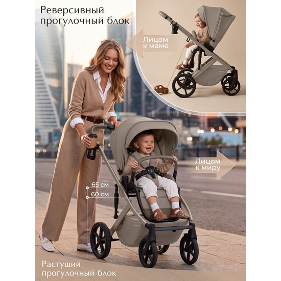 Коляска 2 в 1 SBL Dolce Beige - 25
